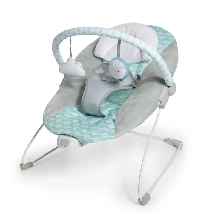 Ingenuity Bouncity Bounce Vibrating Deluxe Bouncer Goji