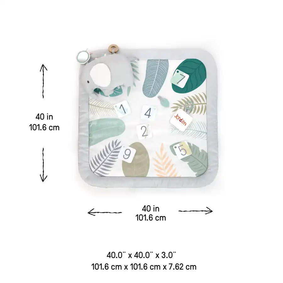 Ingenuity Sprout Spot Baby Milestone Play Mat