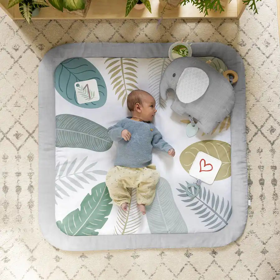 Ingenuity Sprout Spot Baby Milestone Play Mat