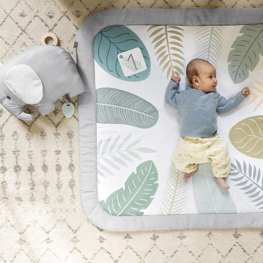 Ingenuity Sprout Spot Baby Milestone Play Mat