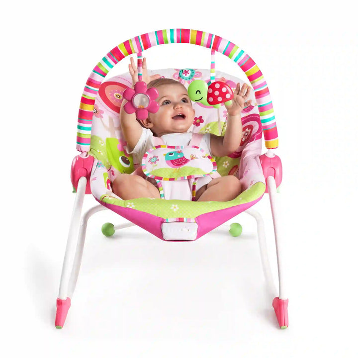 Infant To Toddler Rocker Raspberry Garden